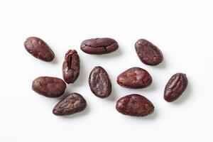 Brown roasted cocoa beans seeds, cocoa bean photo