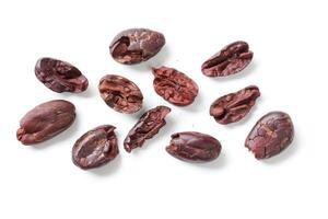 Brown roasted cocoa beans seeds, cocoa bean photo