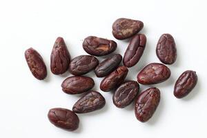 Brown roasted cocoa beans seeds, cocoa bean photo