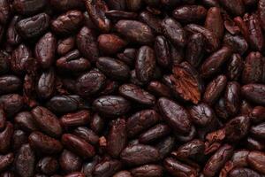 Brown roasted cocoa beans seeds, cocoa bean photo