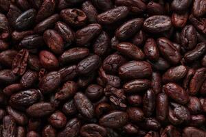 Brown roasted cocoa beans seeds, cocoa bean photo