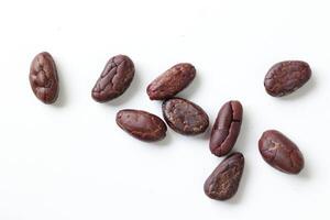 Brown roasted cocoa beans seeds, cocoa bean photo