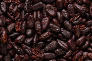 Brown roasted cocoa beans seeds, cocoa bean photo