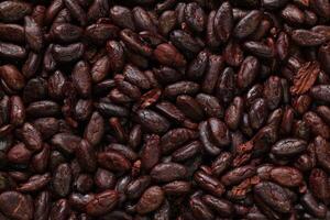 Brown roasted cocoa beans seeds, cocoa bean photo