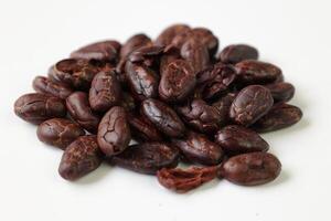 Brown roasted cocoa beans seeds, cocoa bean photo