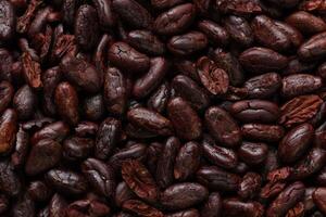 Brown roasted cocoa beans seeds, cocoa bean photo