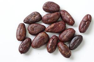Brown roasted cocoa beans seeds, cocoa bean photo