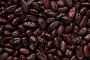 Brown roasted cocoa beans seeds, cocoa bean photo