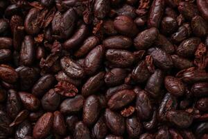 Brown roasted cocoa beans seeds, cocoa bean photo