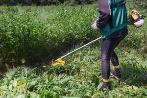 Man mows and cuts the grass with a gasoline trimmer in the garden. Mows tall grass. photo
