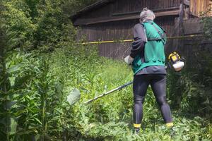 Man mows and cuts the grass with a gasoline trimmer in the garden. Mows tall grass. photo