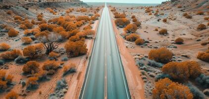 aéreo ver de un vacío, Derecho autopista corte mediante un vasto, color otoñal Desierto paisaje con arbustos en cualquiera lado. foto