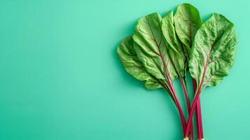 Fresh Swiss chard leaves on a vibrant green background. The colorful stems and leafy greens create a healthy, organic food concept. photo