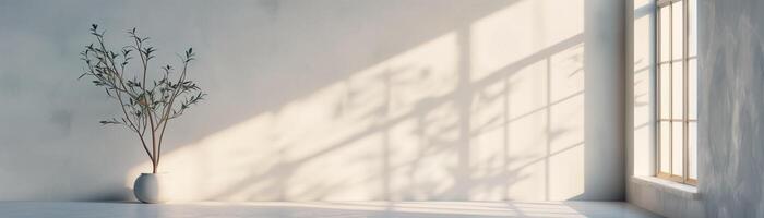 Minimalist interior with a potted plant and sunlight streaming through a window, casting soft shadows on a white wall. photo