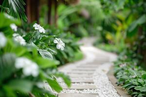 Tranquil garden pathway amid lush greenery and white flowers, creating a serene and inviting natural atmosphere. photo