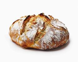 a round loaf of bread on a white background photo