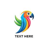 Colorful bird logo template vector