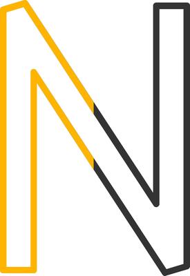 Capital N Icon
