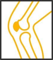 Leg X Ray Line Two Color Icon vector