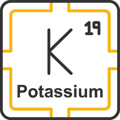 Potassium Line Two Color Icon