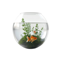 Fish in a Small Aquarium Generative-AI png