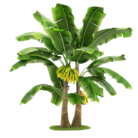 Banana Tree with Green leaves and Bananas on it Generative-AI png
