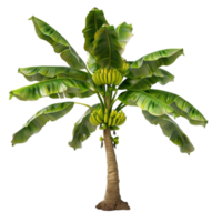 Banana Tree with Green leaves and bananas on it Generative-AI png