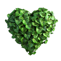 Heart shape leaf or flower on a transparent background Generative-AI png