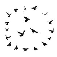 Silhouette sketch of a flock of flying birds, flight in different positions. Takeoff, flying, flight, flutter, hover, soaring, landing vector