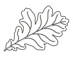Image silhouette of a realistic shape of oak leave. Seasonal decorative background vector