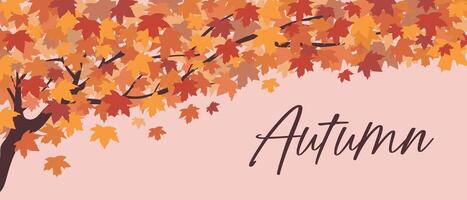 Autumn tree branch. Autumn background. Autumn leaves on a branch. vector