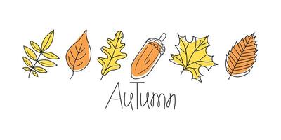 Autumn set of leaves and acorn. Drawings, doodles. Linear icons, inscription. Isolated background. vector
