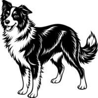 A black and white dog with a white spot on its face is standing in front of a wh vector