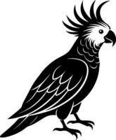 A black and white bird with a large, pointed beak and a long, pointed tail vector