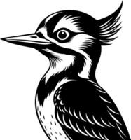 A black and white bird with a pointed beak and a feathery crest on its head vector
