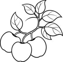 A drawing of a tree with three apples on it vector