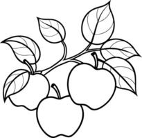 Three apples hanging from a branch vector
