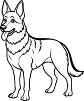 A dog is standing in front of a white background vector