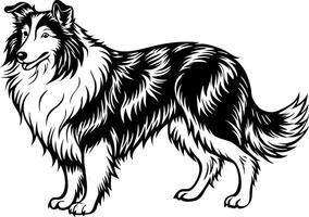 A black and white dog with a white spot on its face vector