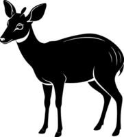 A deer is standing in front of a white background vector
