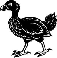 A black bird with a white eye stands on a white background vector
