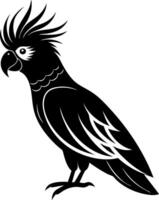 A black and white bird with a long tail and a large head vector