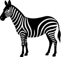 A zebra is standing in a white background vector