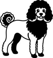 A black and white dog with a curly tail and a black mane vector
