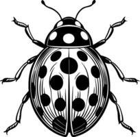 A black and white drawing of a ladybug with many dots on its back vector