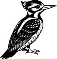 A black and white bird with a pointed beak and a feathery crest on its head vector