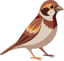 A brown and white bird with a yellow beak vector