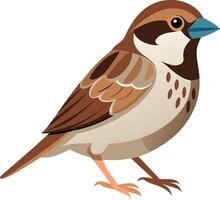 A brown and white bird with a blue beak vector