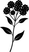 A black and white drawing of a flower with a leaf vector