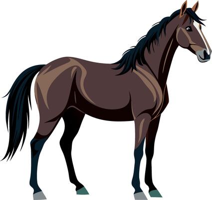 Brown horse illustration, detailed and colorful graphic design